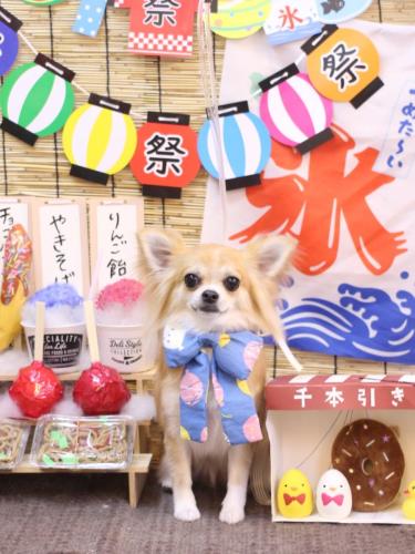 20240718りるちゃん